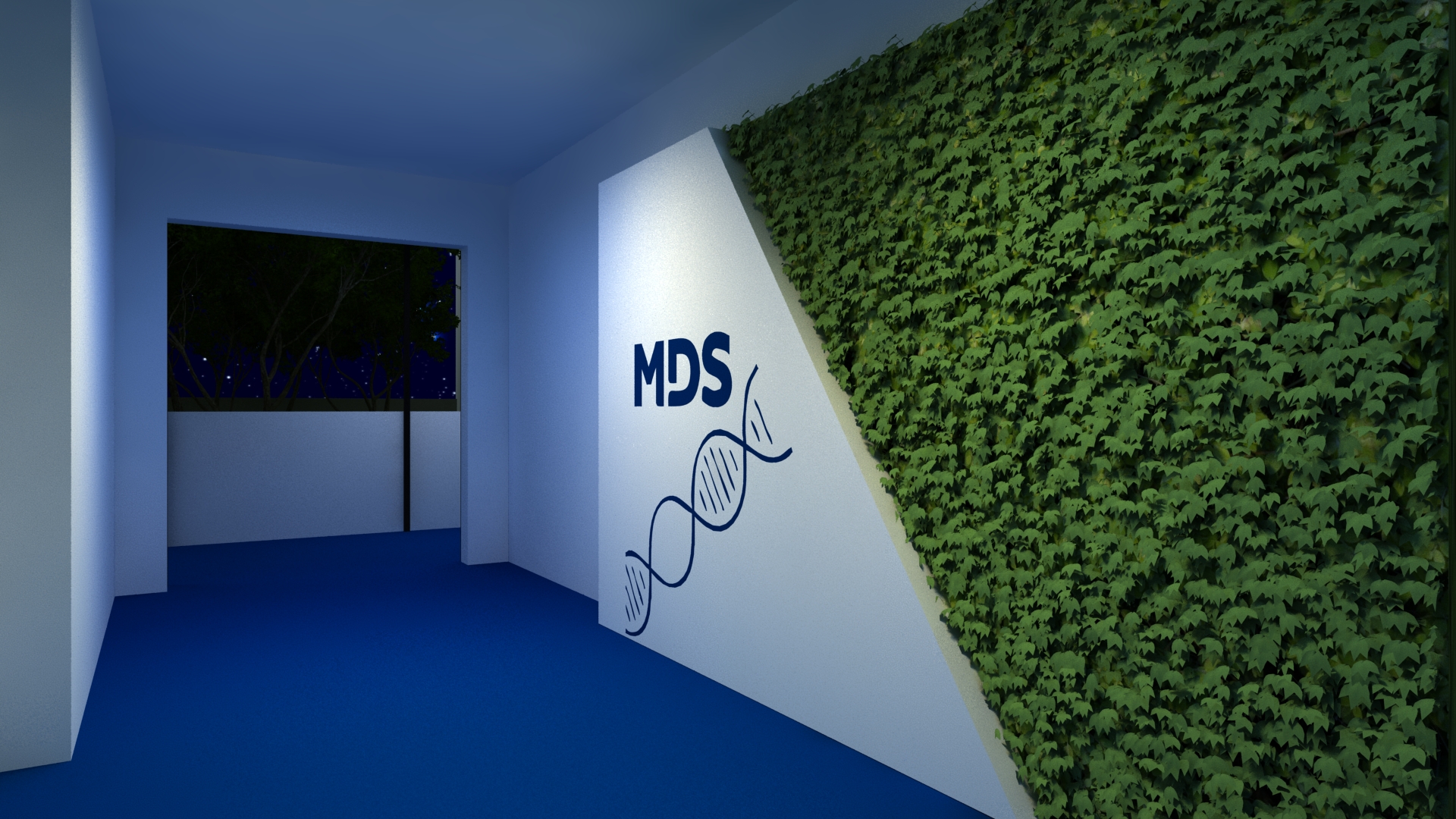 Entrada MDS Imagem 3d